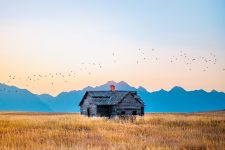 steven-cordes-peUCb16I-Ug-unsplash